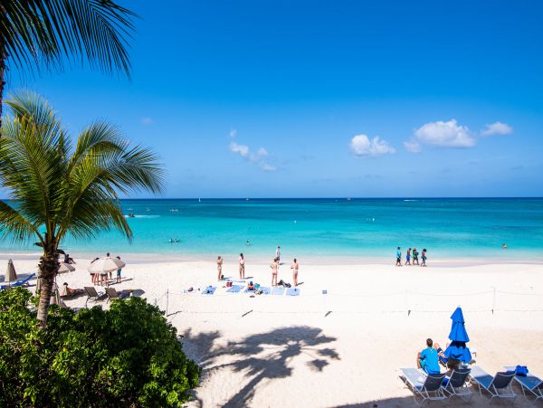 Cayman Islands Condo 959705