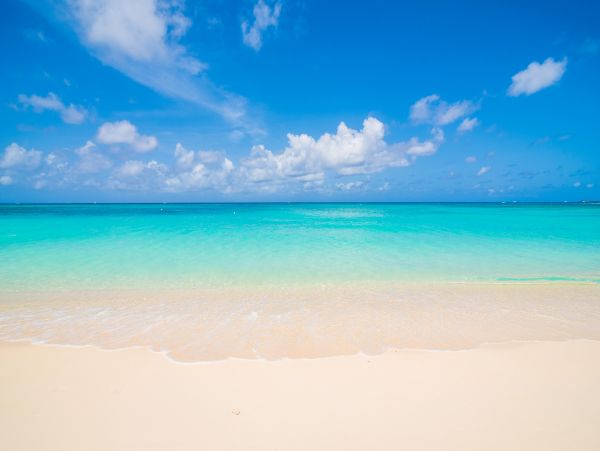 Cayman Islands Condo 959705