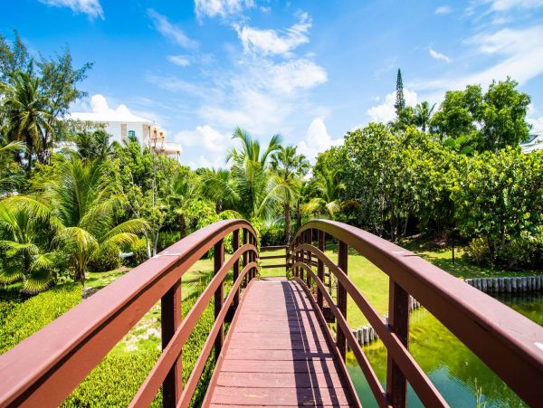 Cayman Islands Beachfront Three Bedroom Rental