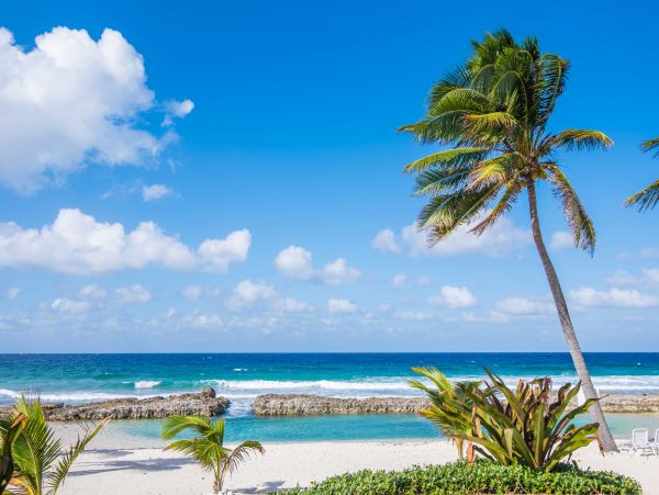 Cayman Islands Three Bedroom Condo Sleeps 6