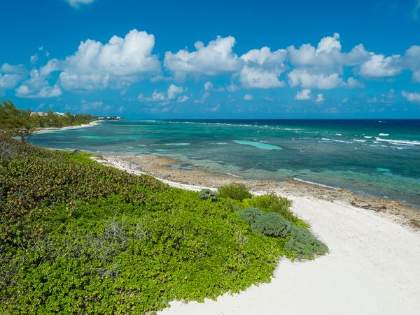 Cayman Islands Home 959724