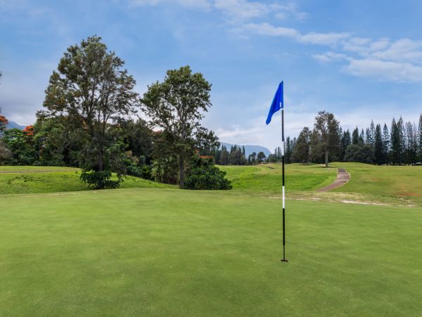 Princeville Walk to Beaches Vacation Home Four Bedrooms