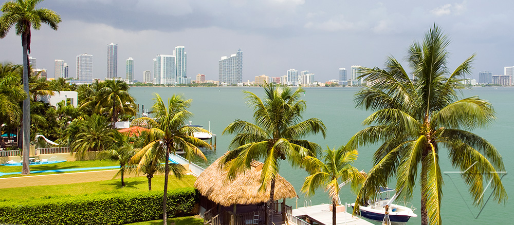 Miami Beach Home 959826