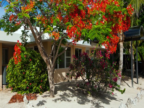 Cayman Islands Home 959852