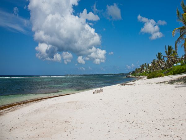 Cayman Islands Home 959852