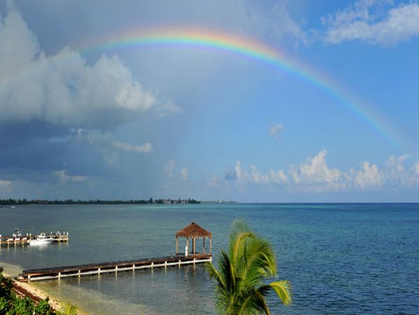 Cayman Islands Home 959857