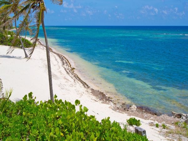 Cayman Islands Home 959863