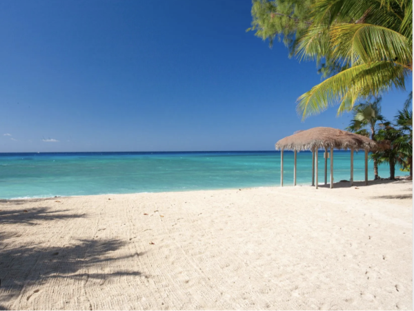 Cayman Island Estate Maximum 26  Resort Style Pool & Cottages
