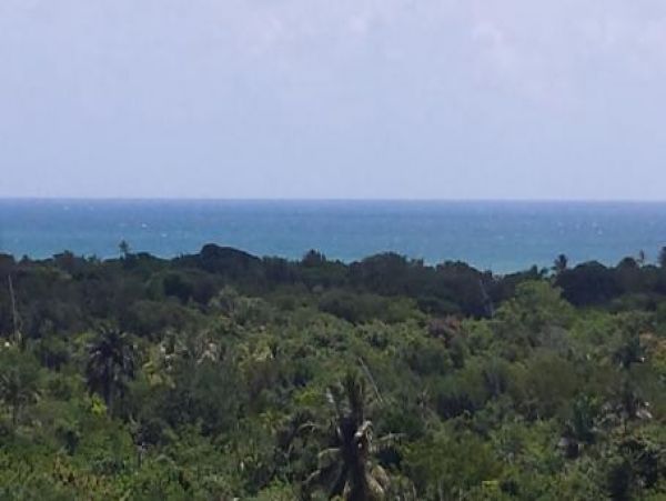 Fort Lauderdale Condo 959884