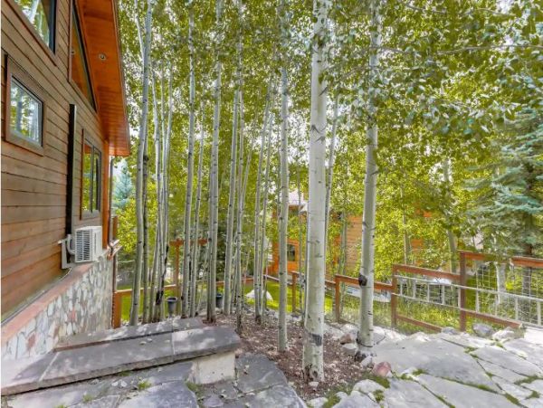 Luxury Aspen Vacation Villa With Magnificent Views Sleeps 8