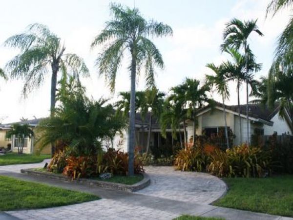 Hollywood Home 959911