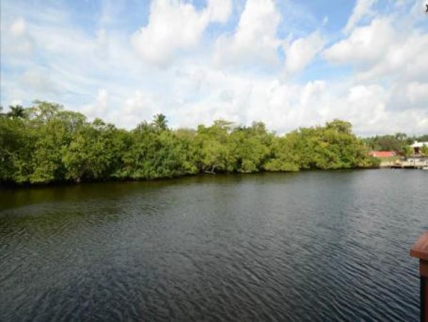 Fort Lauderdale Home 959941