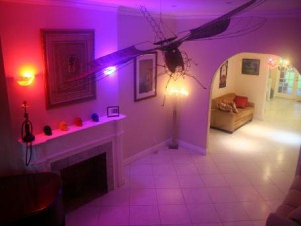 Hollywood Home 959973