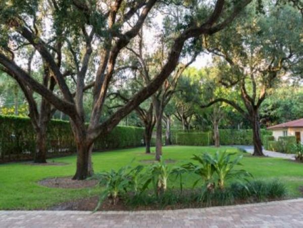 Fort Lauderdale Home 959975