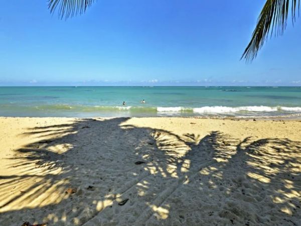 Ocean View Puerto Rico Vacation Beach Condo Sleeps 8