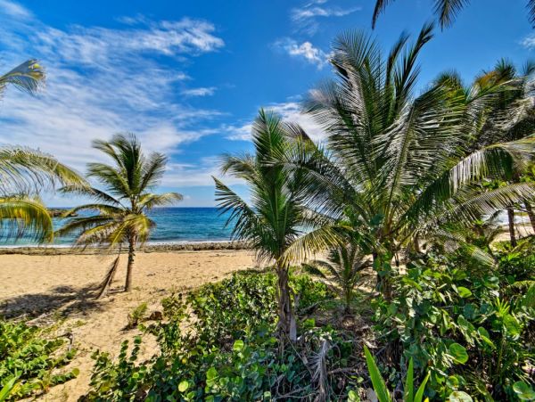 Beautiful End Condo Beachside Communal Pool & Ocean Views