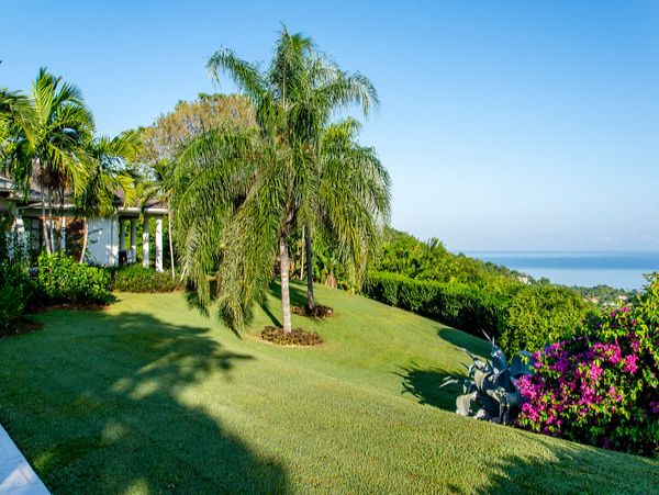 Jamaica Home 960084
