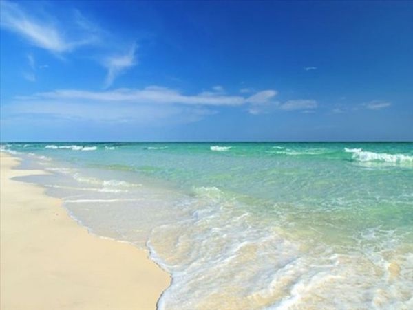 One Bedroom Bradenton Vacation Cottage Sleeps 4 Guests