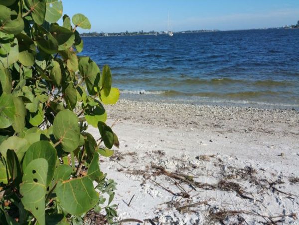 One Bedroom Bradenton Vacation Cottage Sleeps 4 Guests
