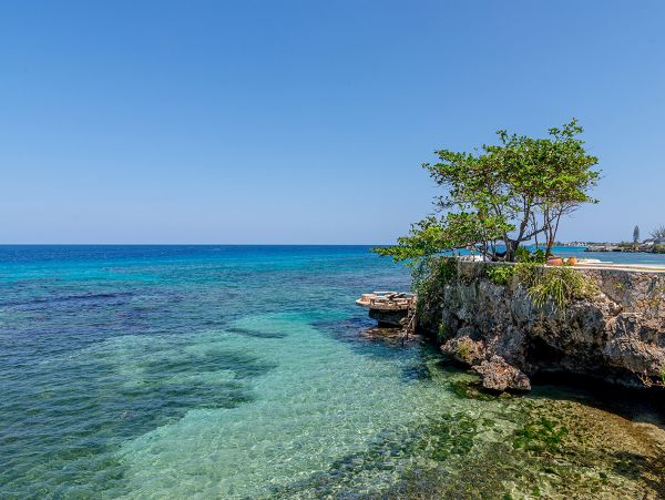 Jamaica Home 960114