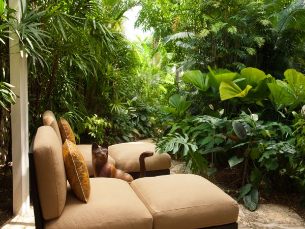 Jamaica Home 960119