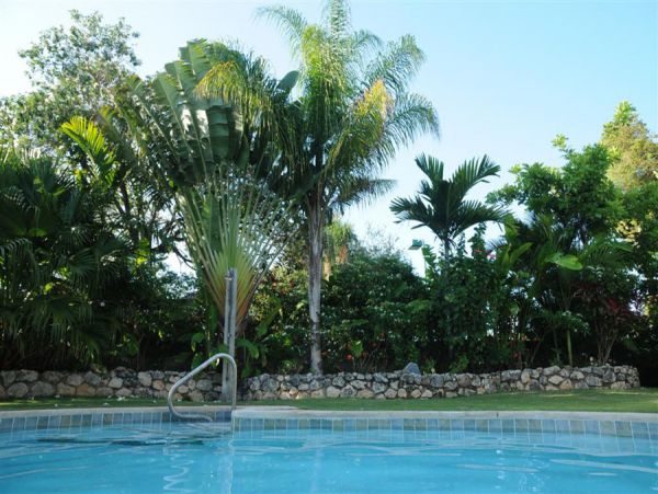 Jamaica Home 960124