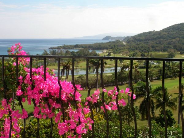 Jamaica Condo 960129