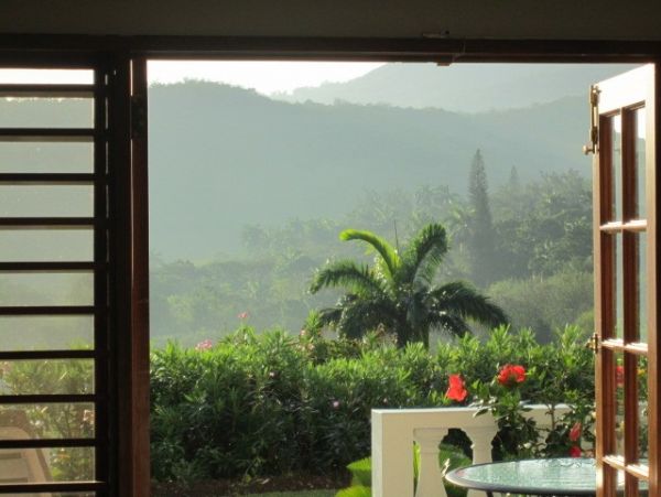 Jamaica Condo 960129