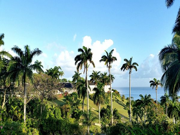 Jamaica Condo 960129