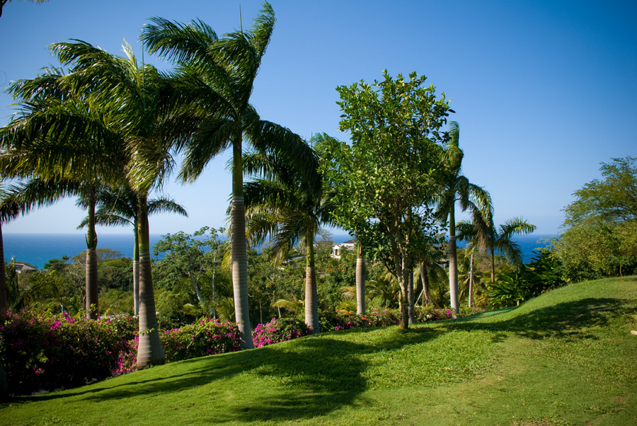 Jamaica Home 960140