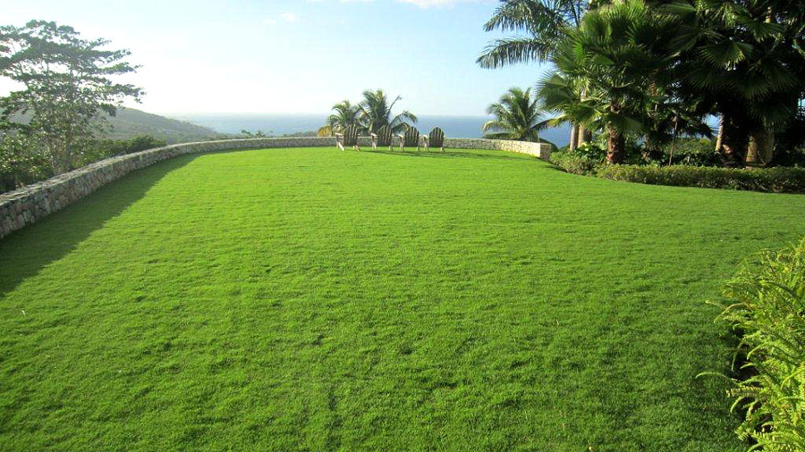 Jamaica Home 960140