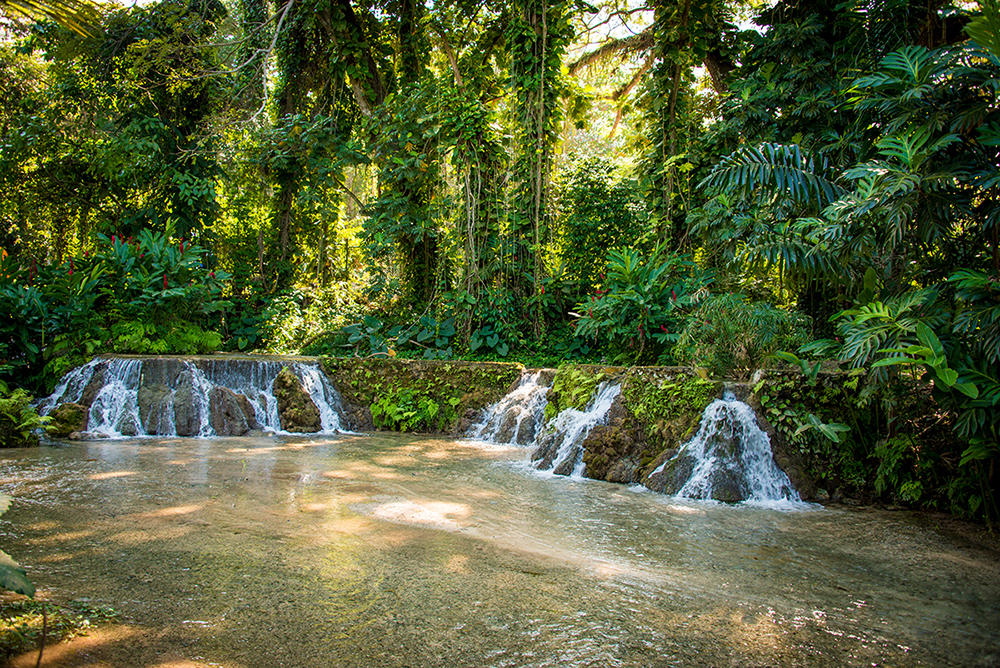 14 Acre Ocho Rios Jamaican Estate with 12 Bedrooms