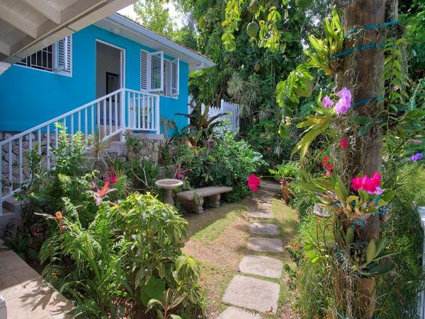 Jamaica Home 960144