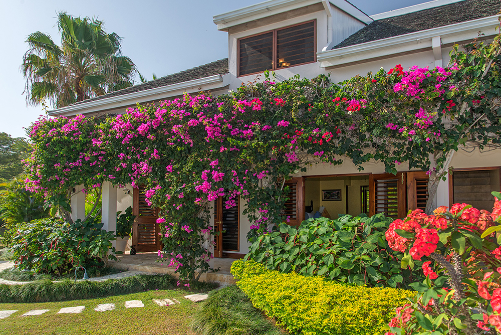 Jamaica Home 960156
