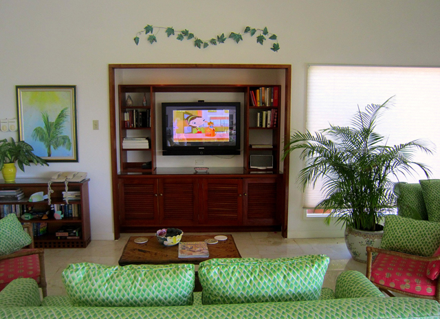 Jamaica Home 960174
