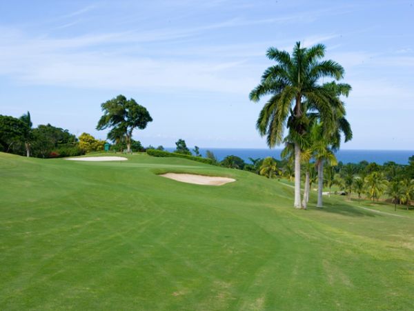 Jamaica Home 960174