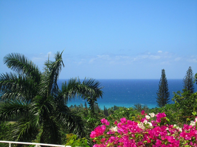 Jamaica Home 960174