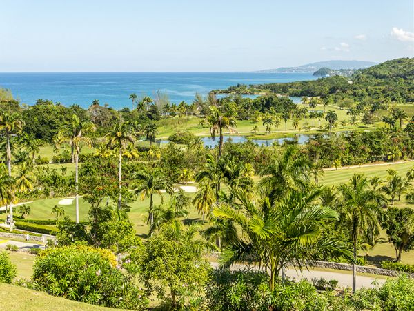 Jamaica Home 960329