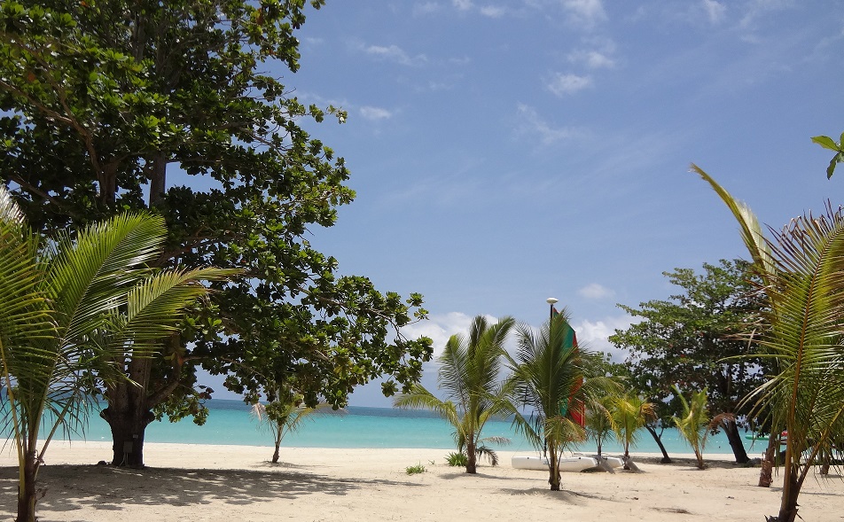 Jamaica Home 960341