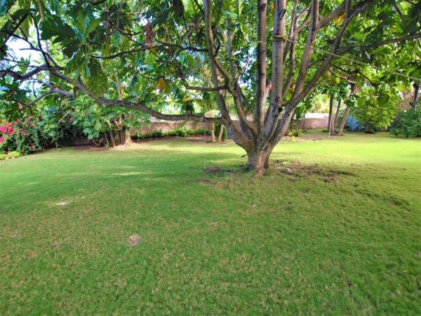 Jamaica Home 960355