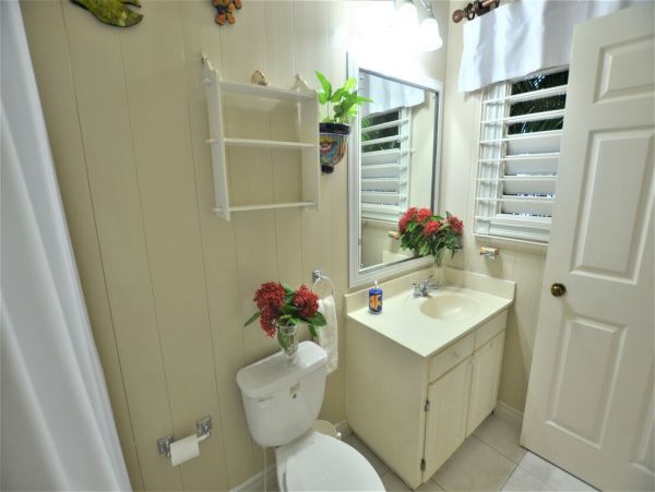 Jamaica Home 960359