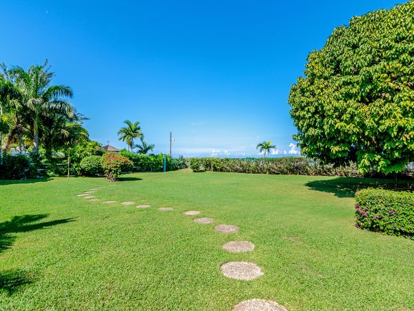 Jamaica Home 960362