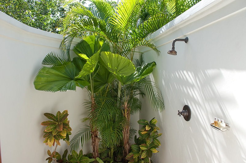 Jamaica Home 960363