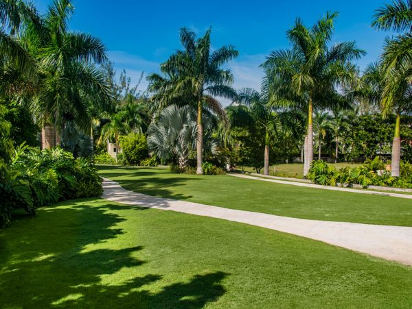 Jamaica Home 960366