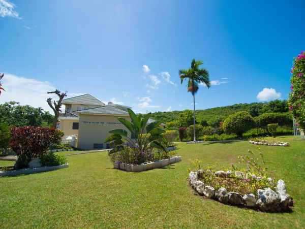 Jamaica Home 960372