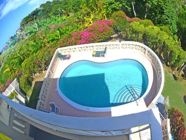 Jamaica Home 960372