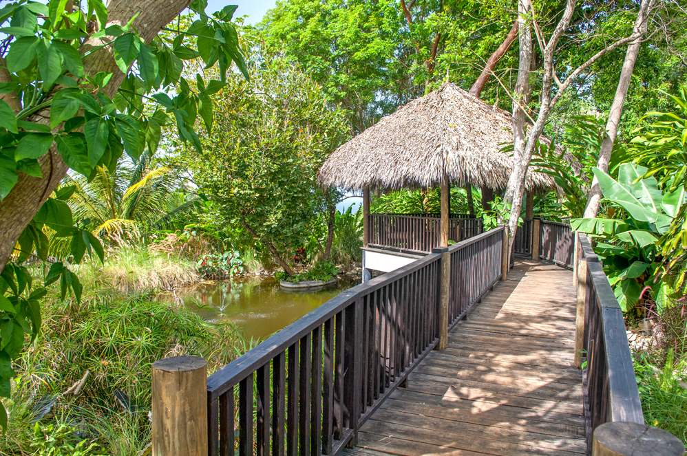 Jamaica Home 960388