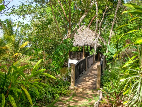 Jamaica Home 960388