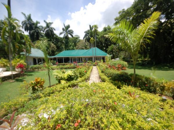 Jamaica Home 960417