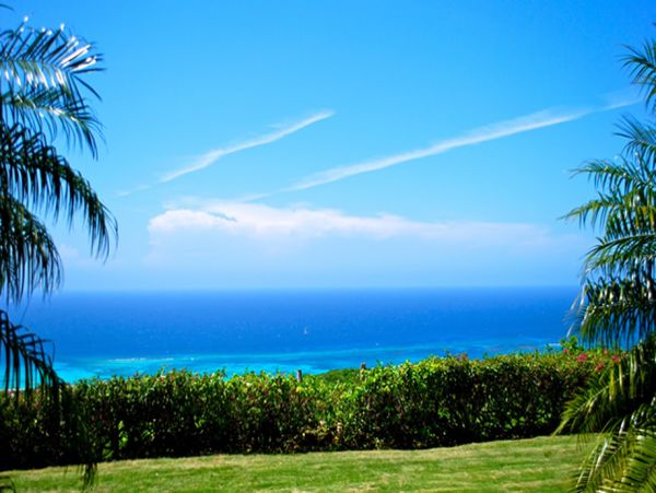 Jamaica Home 960426